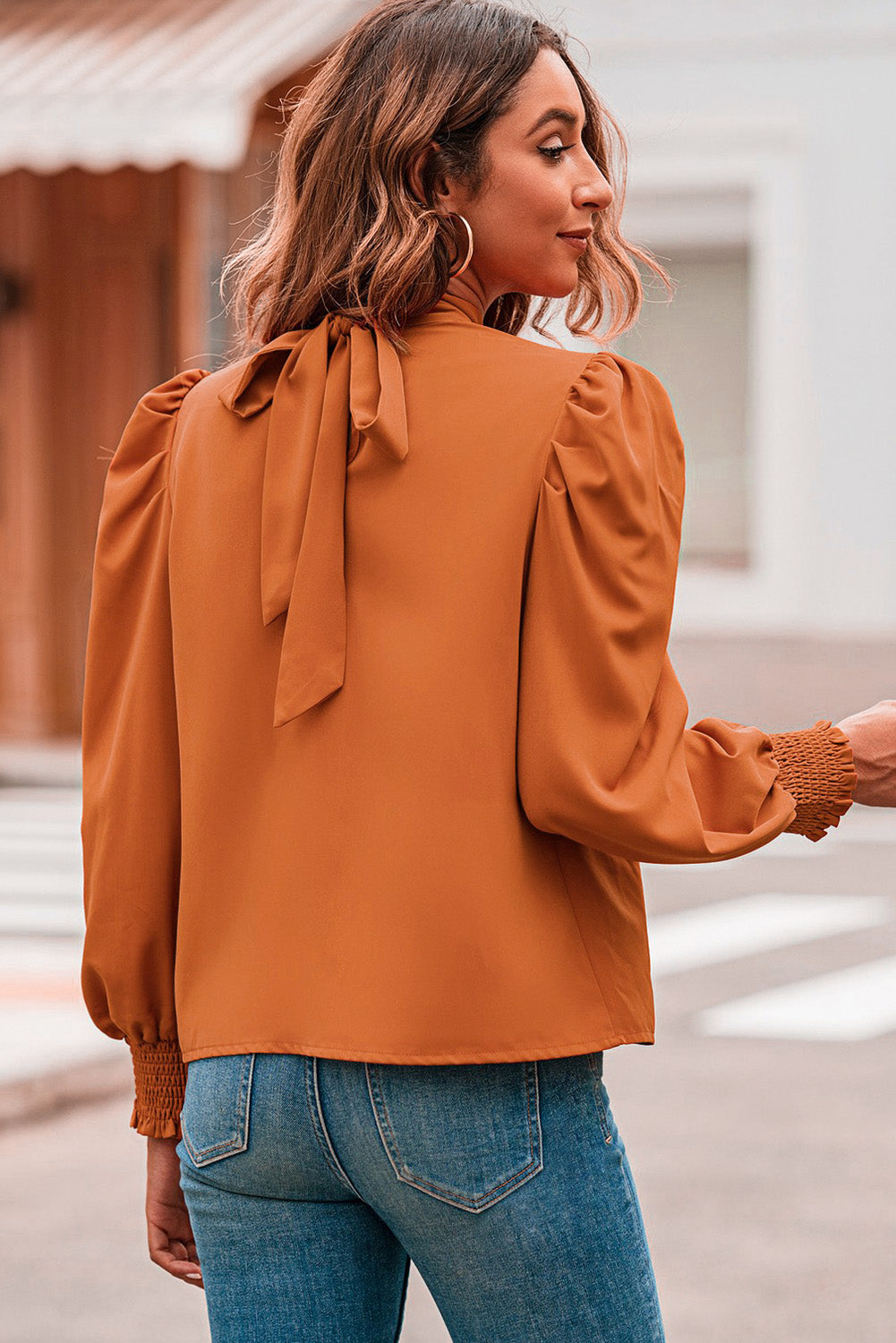 Bubble Sleeve Mock Neck Chiffon Blouse