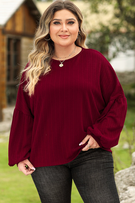 Plus Size Balloon Sleeve Textured Knit Top